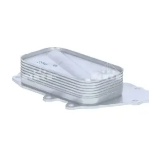 Chłodnica oleju, olej silnikowy NRF 31779 Popularny