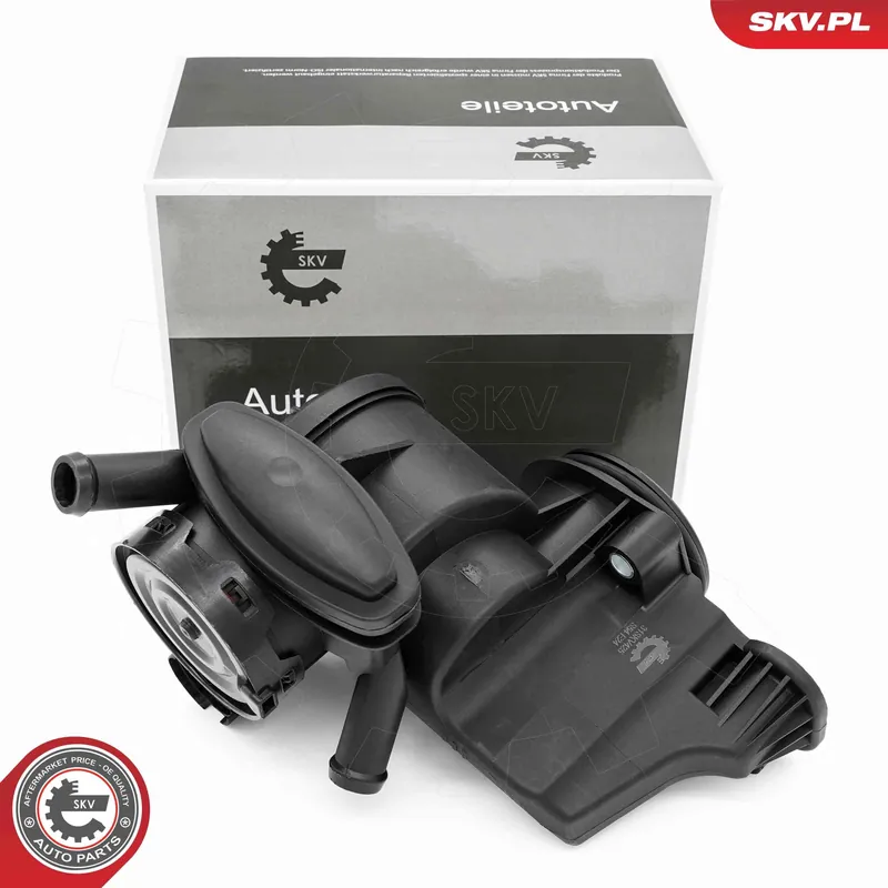 Zamów teraz Separator oleju, odpowietrzenie przestrzeni korbowej ESEN SKV 31SKV425