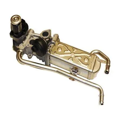 Zawór AGR MAGNETI MARELLI 571822112069 Bezpieczna płatność