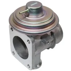 Zawór AGR MAGNETI MARELLI 571822112095 Popularny