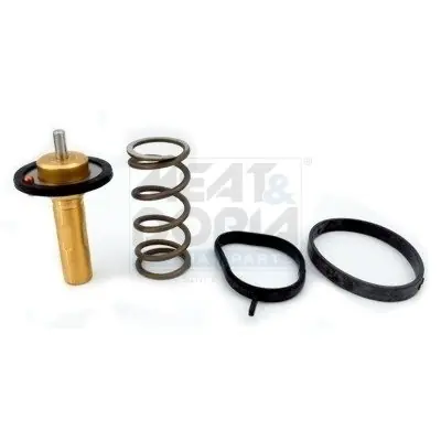 Bezpieczne zakupy Termostat, płyn chłodzący MEAT & DORIA 92839