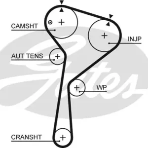Pasek rozrządu GATES 5675XS 130286028R Ekspresowa dostawa